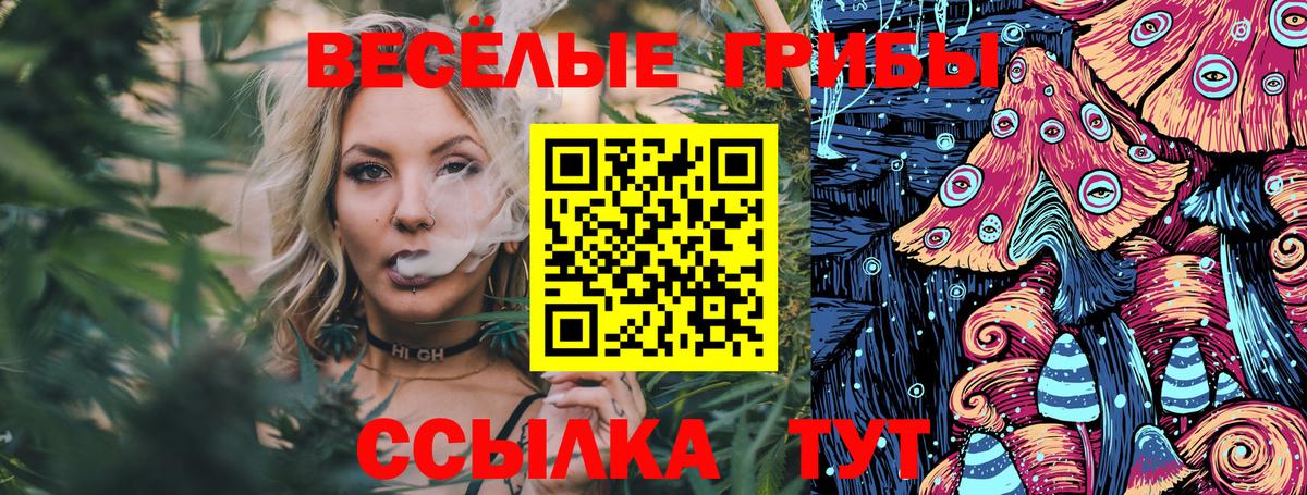 Светлоград  Галлюциногенные грибы Cubensis  Вход с VPN  Псилоцибиновые грибы ЛСД 